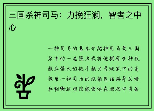 三国杀神司马：力挽狂澜，智者之中心
